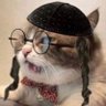 Profilbild von el gato عمرو