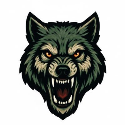 xthewolves's profile picture