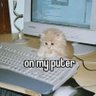 Fluff's profile picture
