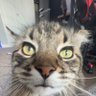 Profilbild von ruin