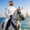 Ibn Alkhaleej 的头像