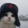 🏴🚩Amish Ateu🚩🏴's profile picture
