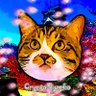 ルディ🎌's profile picture