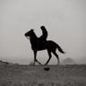 محمد profil fotoğrafı