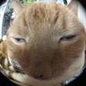 kiki profil fotoğrafı