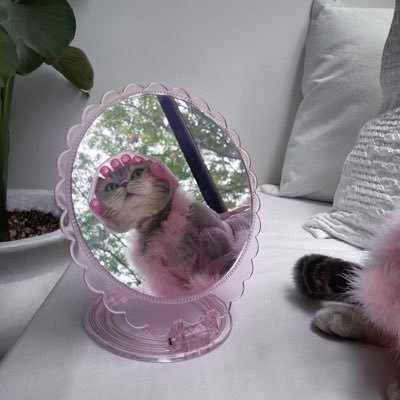 sofialohle's profile picture