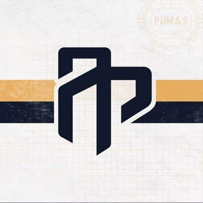 Análisis Puma's profile picture