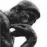 DegenerateTrader's profile picture