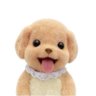 äžç¬'s profile picture