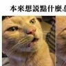 Taylor 的头像