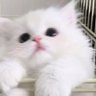 Profilbild von なつみ