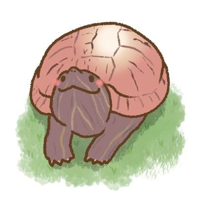 イサハ🐢🐍🦎's profile picture