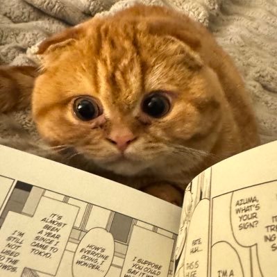 cat's profile picture