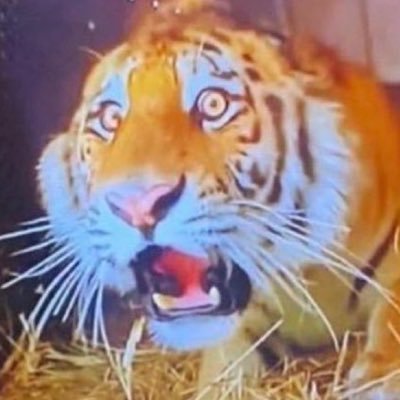 boyeoe's profile picture