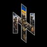 Praesidium Group 🏴🇺🇦 的头像