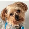 Dawn's profile picture