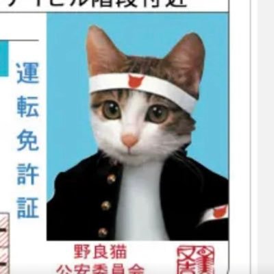 machida19650218's profile picture