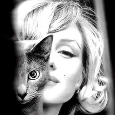 KrysiaDrohojo's profile picture