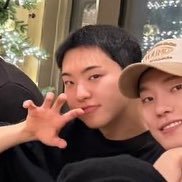 호시 ✭'s profile picture