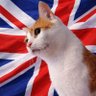 Фото профиля Sergio 🇬🇧🇪🇺🇪🇦🇺🇦