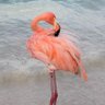 GinsterC profil fotoğrafı