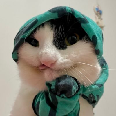 Zikrettin's profile picture