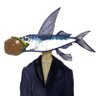 R【あーる】🐟 的头像