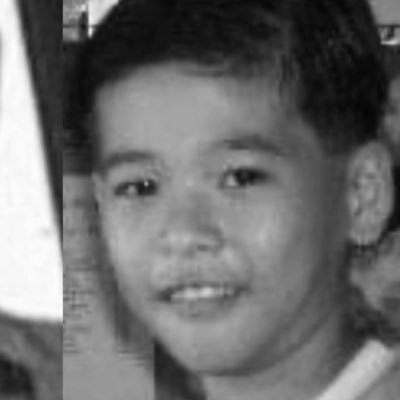 `wibi's profile picture