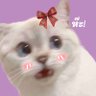 𝐬𝐞𝐫𝐞𝐧𝐧 •᎑• 🪽🌷 的头像
