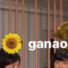 ããªã's profile picture