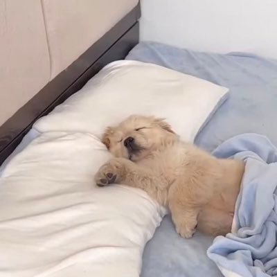 พิม๋าเด้ก ²⁷'s profile picture