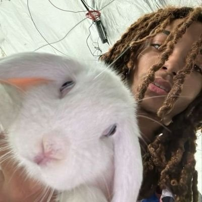 ssillazul's profile picture
