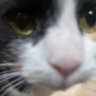 Thunder's profile picture