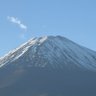 月村 智🏴☠️ profil fotoğrafı