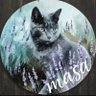 🥃✳𝕸𝖆𝖘𝖆✳🍀🎶.:*♡'s profile picture