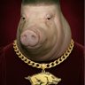 pollywog hog's profile picture