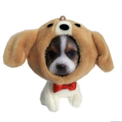 알짱이..'s profile picture
