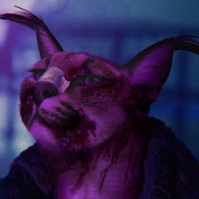 plug's profile picture