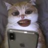 Profilbild von A