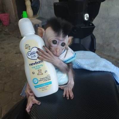 fadelofx99's profile picture