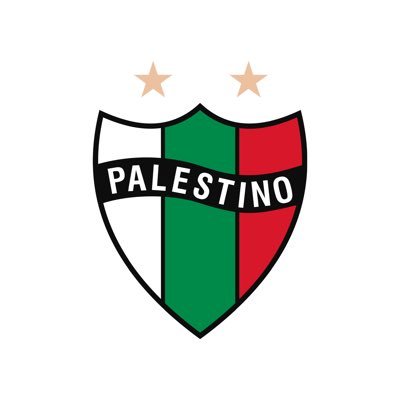 Club Deportivo Palestino's profile picture