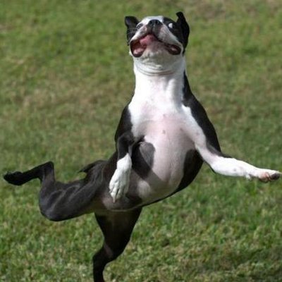 herrcore's profile picture