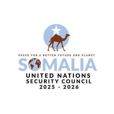 SomaliaatUN's profile picture