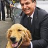 Página Política 🟩🟨🟦's profile picture