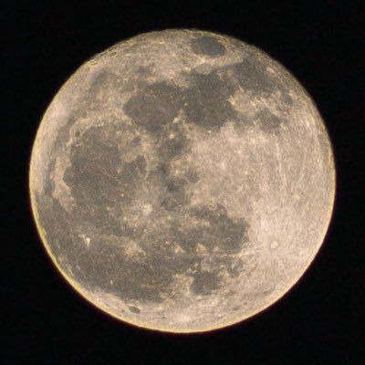 .'s profile picture