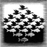 Oded Levy's profile picture