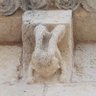 Фото профиля David Pujadó i Cercó