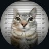 Veín🇾🇪's profile picture