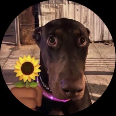 LL's profile picture