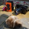 Kazu profil fotoğrafı